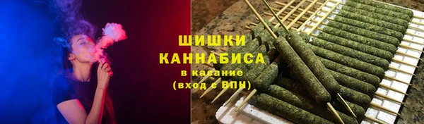 стафф Бронницы