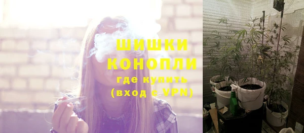 стафф Бронницы