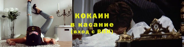 спайс Бородино