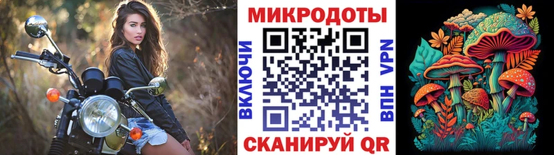 Галлюциногенные грибы Psilocybe это Telegram Люберцы